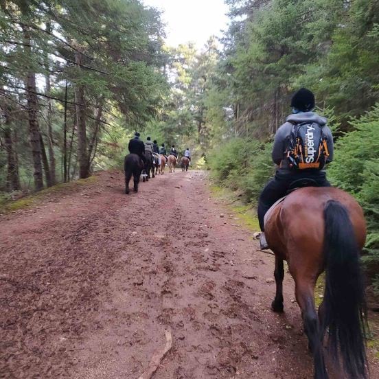 People riding horses in Karitena's forest. Άνθρωποι που κάνουν ιππασία σε δάσος της Καρύταινας.